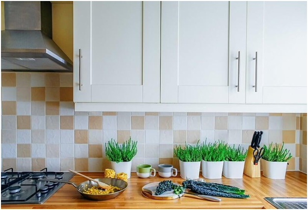 indoor plants into the kitchen