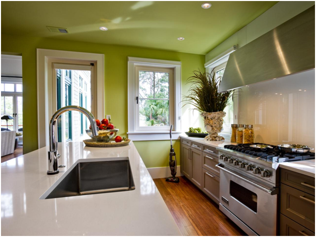 indoor plants in kitchen 