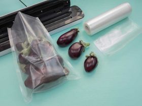 How much does a vacuum sealer cost